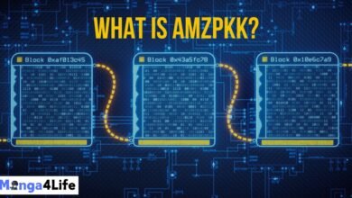 What is AMZPKK