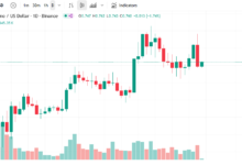 Cardano Ecosystem Projects to Watch in 2025