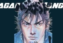 Vagabond Manga