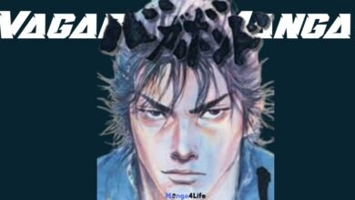 Vagabond Manga